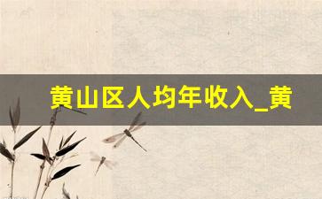 黄山区人均年收入_黄山区人均消费水平