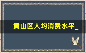 黄山区人均消费水平_人均gdp是年收入吗