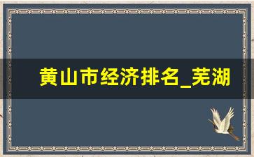 黄山市经济排名_芜湖在全国算富的吗