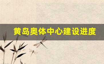 黄岛奥体中心建设进度_西海岸灵山湾体育场最新消息
