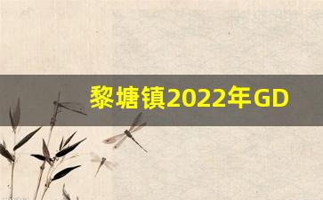 黎塘镇2022年GDP_黎塘镇发展的怎么样