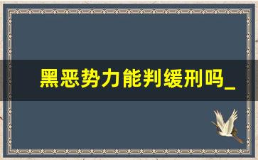 黑恶势力能判缓刑吗_恶势力认定最新标准