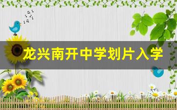 龙兴南开中学划片入学