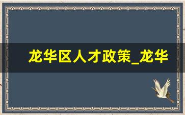 龙华区人才政策_龙华区技能人才c类评定结果