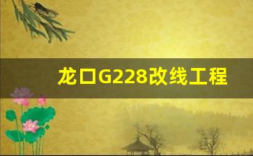 龙口G228改线工程方案图_山东龙口三年新规划图