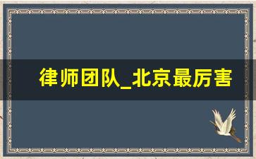 律师团队_北京最厉害的刑事律师前十名