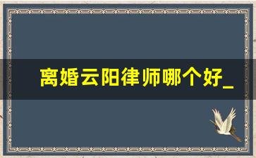 离婚云阳律师哪个好_在云阳诉讼离婚需要什么手续