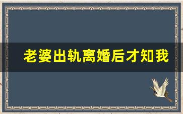 老婆出轨离婚后才知我好